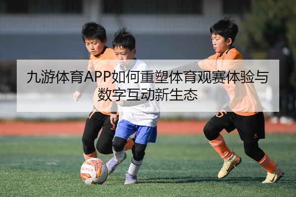 img_1777515214679_81_1_393.jpg